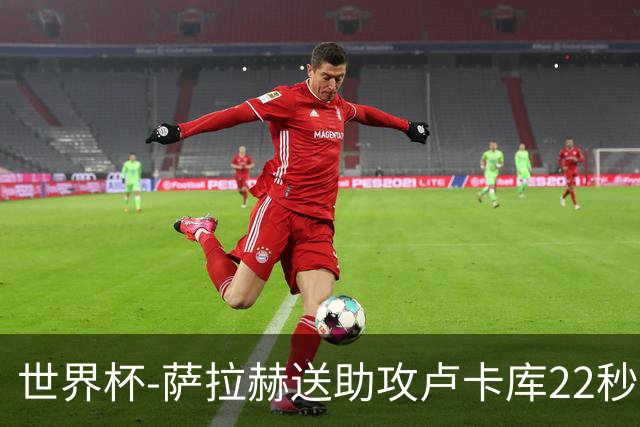 世界杯-萨拉赫送助攻卢卡库22秒造乌龙 比利时1-1埃及