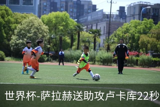 世界杯-萨拉赫送助攻卢卡库22秒造乌龙 比利时1-1埃及